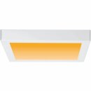 Paulmann LED Aufbau Panel 30x30cm Carpo weiß matt WarmDim 16W 1400lm Lichtfarbe regelbar 2300K 2500K 3000K