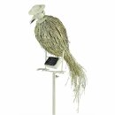 Eglo LED Solarleuchte Vogel 161cm hoch warmweiß Dekoleuchte mit Akku und Sensor