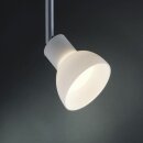 Paulmann Halogenlampe MR16 Reflektor 20W GU5,3 Silber 12V...