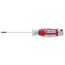 CircumPro Schraubendreher Torx T15 x 80mm