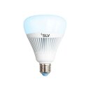 SLV LED Smart Leuchtmittel Play WiZ G110 21W E27 matt 1550lm RGBW 2200-6500K Dimmbar App Alexa Google WLAN