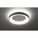 Wofi LED Wand- & Deckenleuchte Shay rund Ø59cm Dunkelgrau 37W 3600lm warmweiß 3000K Backlight 3-Stufen dimmbar