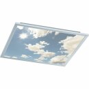 Wofi LED Deckenleuchte Aufbaupanel Liv Silber Himmel 60x60cm 36W 3400lm CCT 2800K-6800K Dimmbar mit Fernbedienung