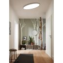 Wofi LED Deckenleuchte Valley 80cm Weiß 36W 2850lm CCT Warmweiß - Kaltweiß dimmbar mit Fernbedienung