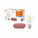 Ledvance Google Home Mini Smart Home Starter Kit Koralle...