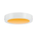 Paulmann LED Aufbau Panel Carpo Weiß rund Ø22,5cm 13W 1520lm 2300K-3000K WarmDim 3-Stufen-Dimmbar