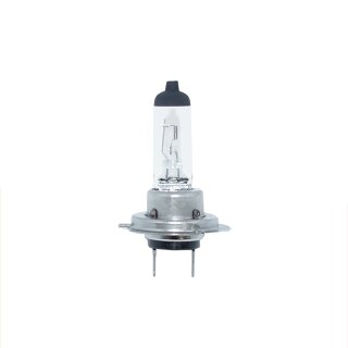 H7 12V PX26D 55W Scheinwerferlampe