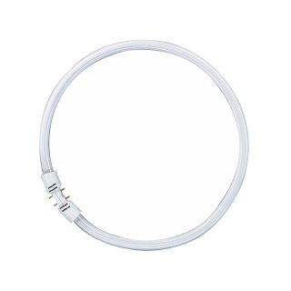 Osram Leuchtstofflampe T5 FC 55W 865 Circline Ring Lumilux Cool Daylight 2GX13