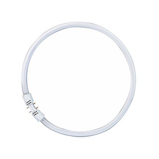 Osram Leuchtstofflampe T5 FC 40W 840 Circline Ring Lumilux Cool White 2GX13