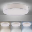 Paul Neuhaus LED Smart Deckenleuchte Lola Ø58cm Textil weiß 36W 3700lm CCT RGB Fernbedienung Google Alexa WiFi