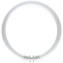 Philips Master Leuchtstofflampe TL5 40W 840 Circular Ring...