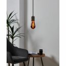 Eglo LED Spiral Filament Leuchtmittel Edison ST64 4W E27...