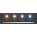 Spectrum LED Filament Leuchtmittel Kerze 4W E14 klar 340lm extra warmweiß 1800K