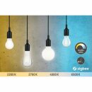 Paulmann Smart LED Leuchtmittel Edison ST64 7W = 60W E27 klar 806lm CCT 2200K - 6500K dimmbar ZigBee 