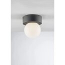 Eco-Light Außendeckenleuchte Skittle Anthrazit IP54...