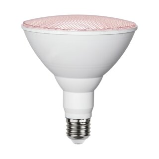 Star Trading LED PAR38 Reflektor 16W E27 Rot-Violett IP44 1200lm 90° Pflanzenlicht