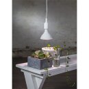 Star Trading LED PAR38 Reflektor 16W E27 Rot-Violett IP44 1200lm 90° Pflanzenlicht