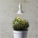Star Trading LED PAR38 Reflektor 16W E27 Rot-Violett IP44 1200lm 90° Pflanzenlicht