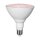 Star Trading LED PAR38 Reflektor 16W E27 Rot-Violett IP44 1200lm 90° Pflanzenlicht