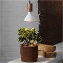Star Trading LED PAR38 Reflektor 16W E27 Warmweiß IP44 1700lm 90° Pflanzenlicht
