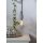 Star Trading LED Inner Glow C35 Kerze 2,3W E14 klar 70lm extra warmweiß 1800K DIMMBAR