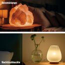 10 x Merkur LED Filament T26 Röhre 1W = 15W E14 klar 115lm warmweiß 2700K