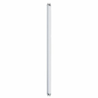 Paulmann Leuchtstofflampe T8 Röhre 60cm 18W/865 G13 1215lm Tageslicht 6500K kaltweiß
