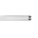 Ormalight T8 Leuchtstoffröhre 60cm 18W/864 G13...