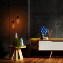 LED´s Light LED Spiral Filament G95 Globe 4W = 25W E27 Gold 250lm extra warmweiß 1800K DIMMBAR