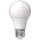 3 x LED´s Light LED A60 Birnen 13W = 100W E27 Opal matt 1521lm warmweiß 2700K