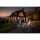 Ledvance LED Fluter Floodlight Essential Schwarz IP65 30W 2850lm Tageslichtweiß 6500K Bewegungsmelder