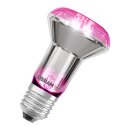 Osram LED Star Grow R63 Glas Reflektor 7,5W = 15W E27...