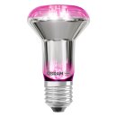 Osram LED Star Grow R63 Glas Reflektor 7,5W = 15W E27 klar 140lm Pflanzenlampe