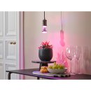 Osram LED Star Grow R63 Glas Reflektor 7,5W = 15W E27 klar 140lm Pflanzenlampe