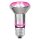 Osram LED Star Grow R63 Glas Reflektor 7,5W = 15W E27 klar 140lm Pflanzenlampe